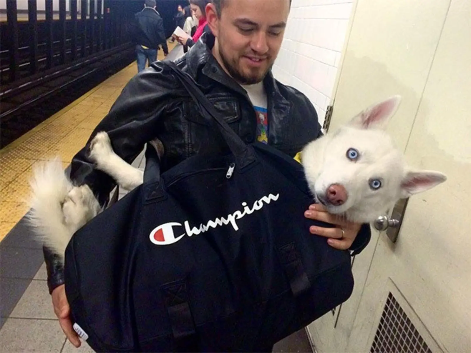 A regra do metrô de Nova York em 2016 só permitia cães em bolsas ou contêineres, o que exigiu criatividade dos tutores. (Foto: Instagram)